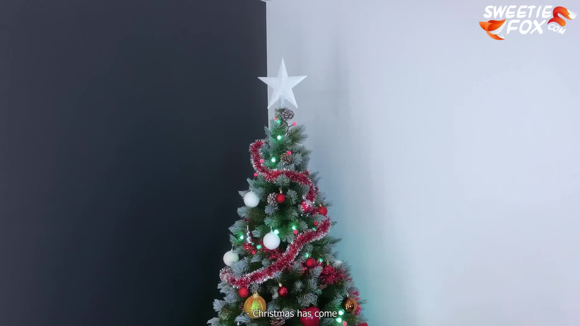 Video 836489 from Sweetie Fox / MoonFleur