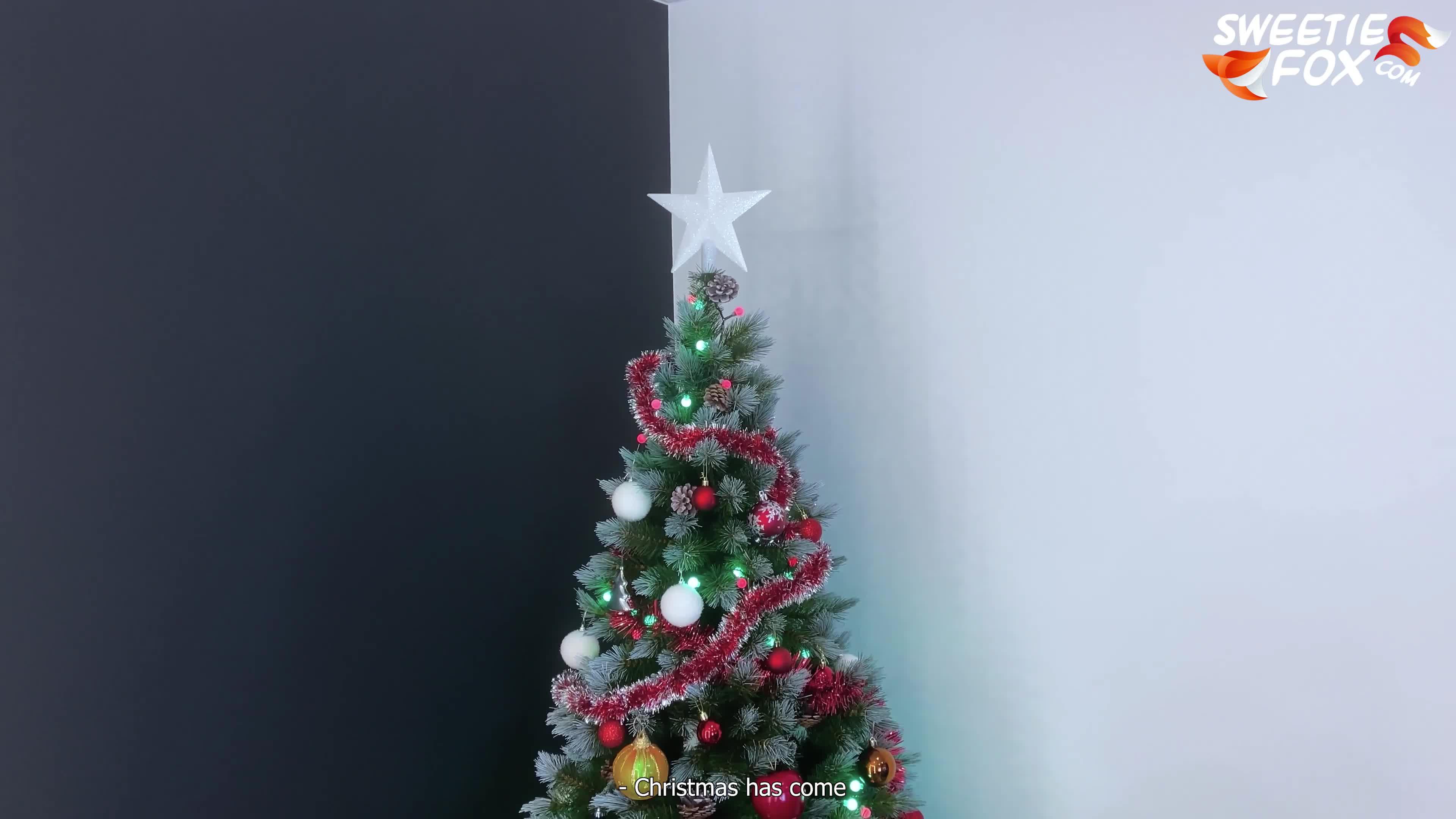 Video 836488 from Sweetie Fox / MoonFleur