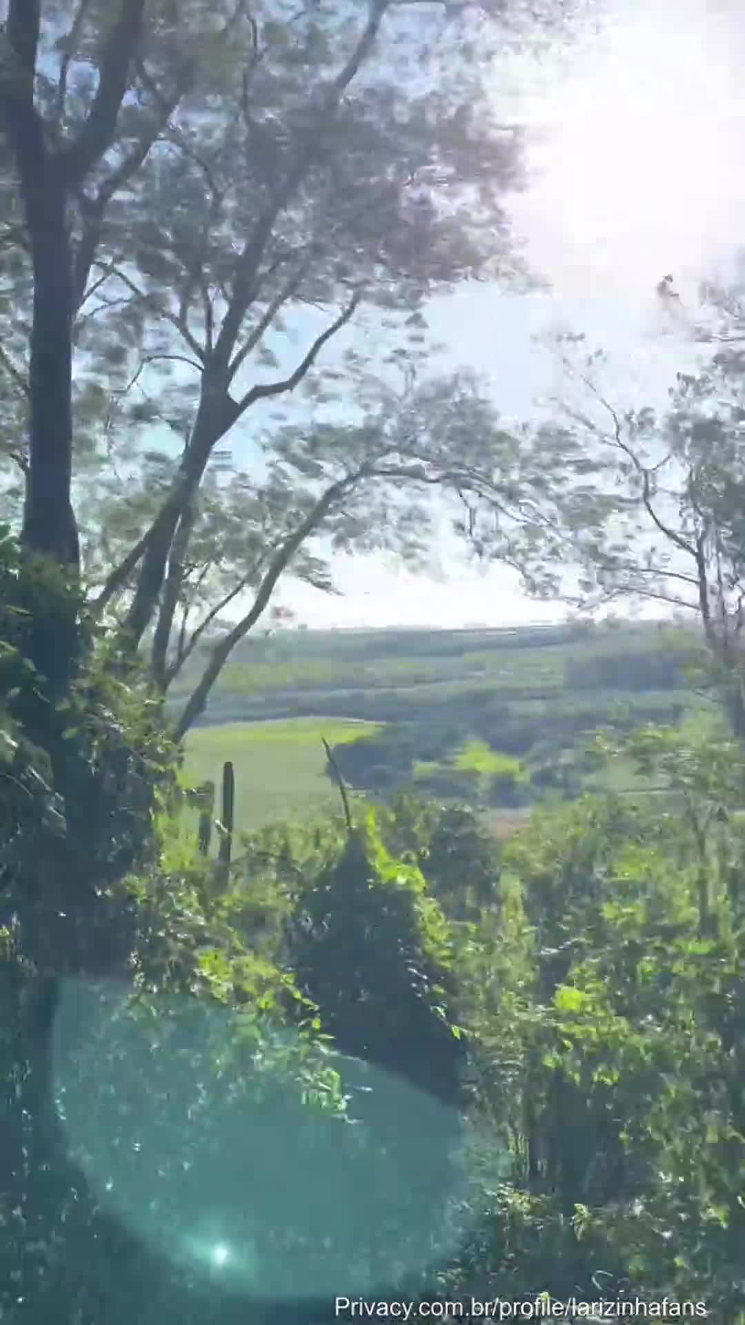 Video 839505 from Larissa | Lyssa | lyssasch