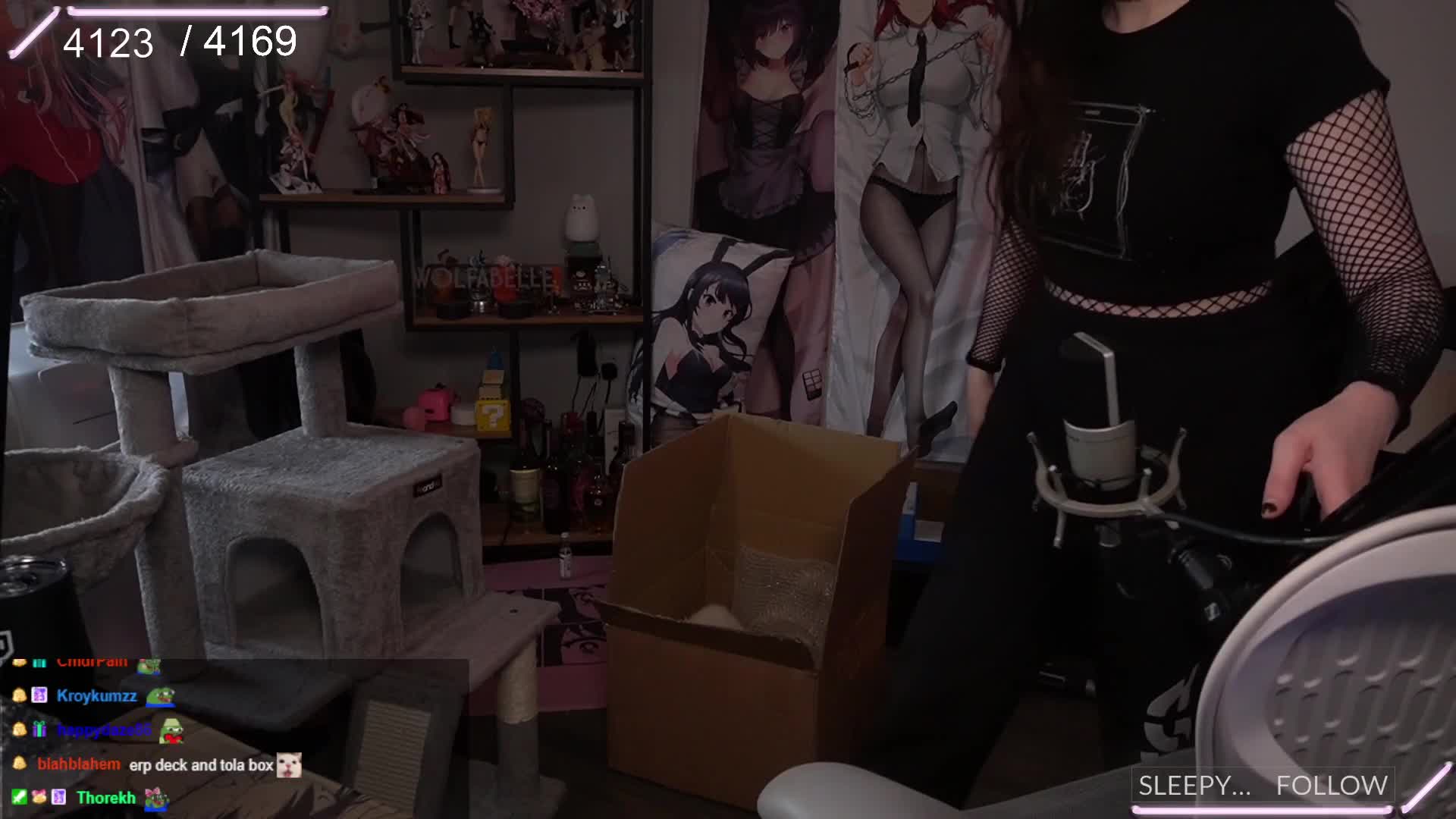 Video 842646 from Wolfabelle