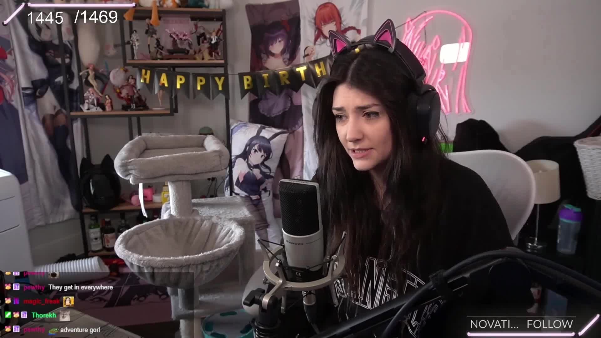 Video 842658 from Wolfabelle