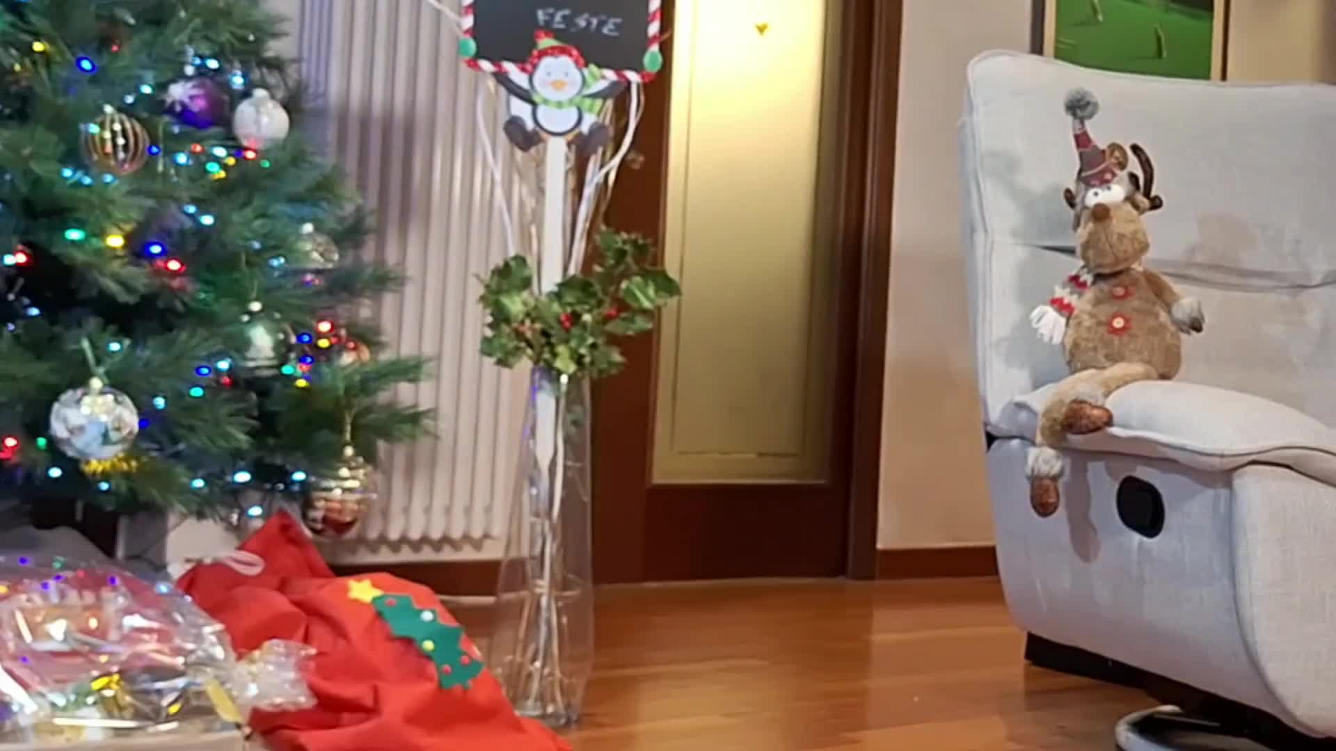 Video 843133 from simona nonsoloradio