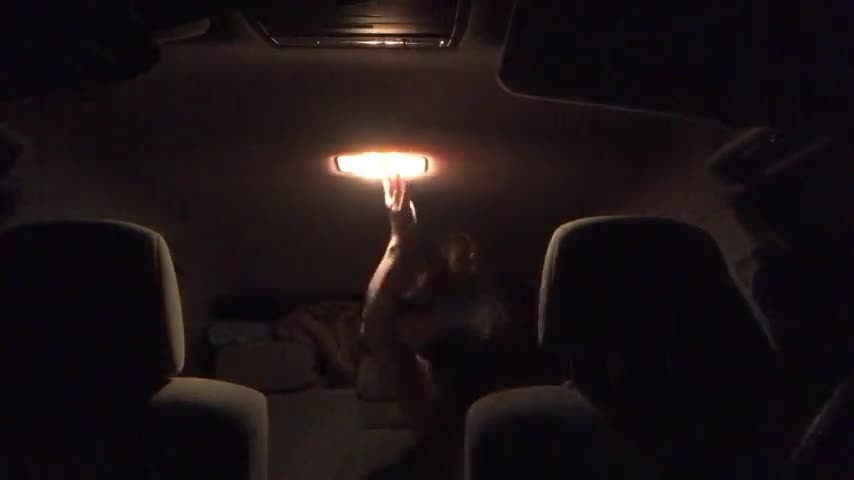 Video 843336 from Tripledsinthisbitch