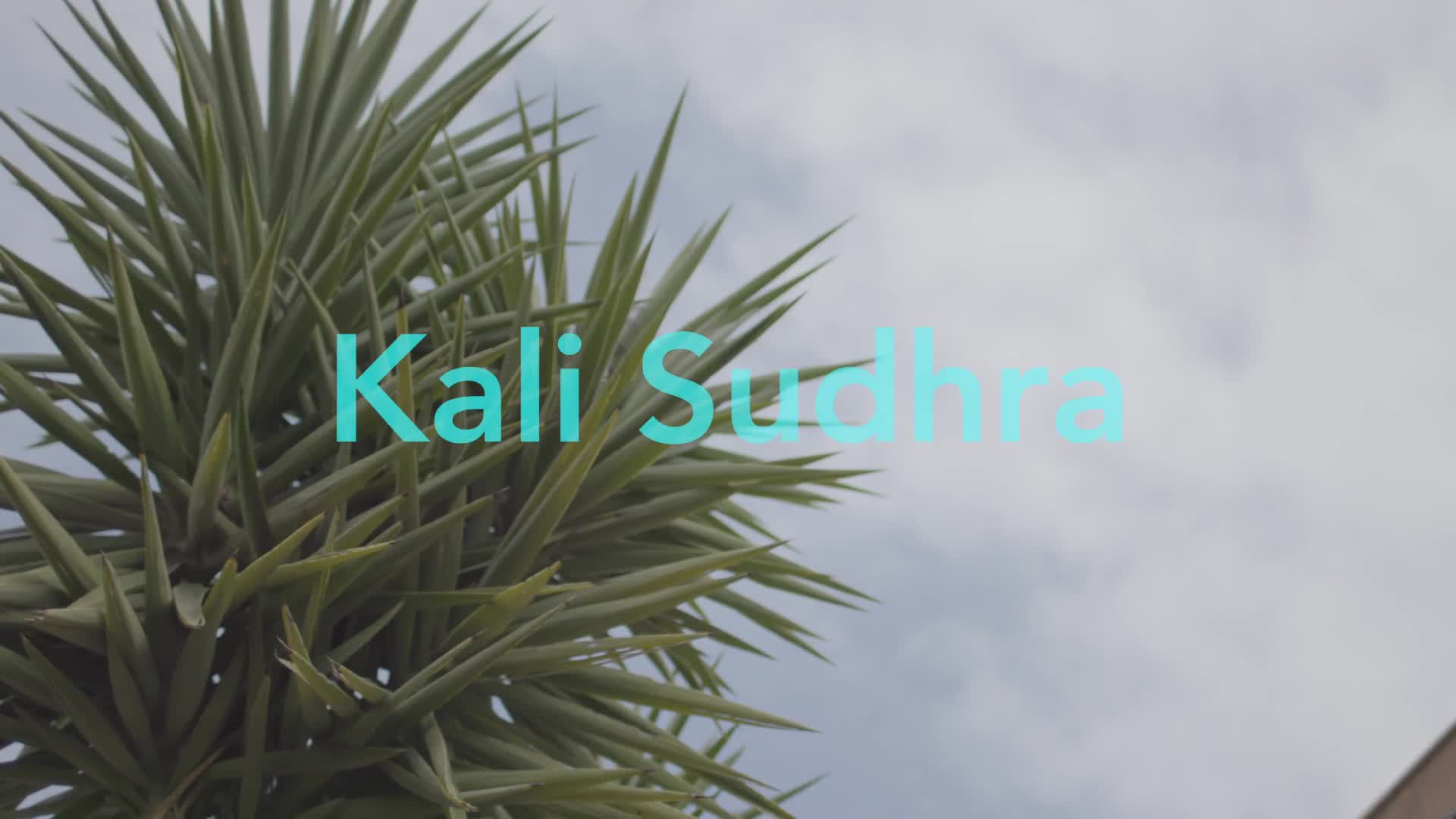 Video 843880 from Kali Sudhra