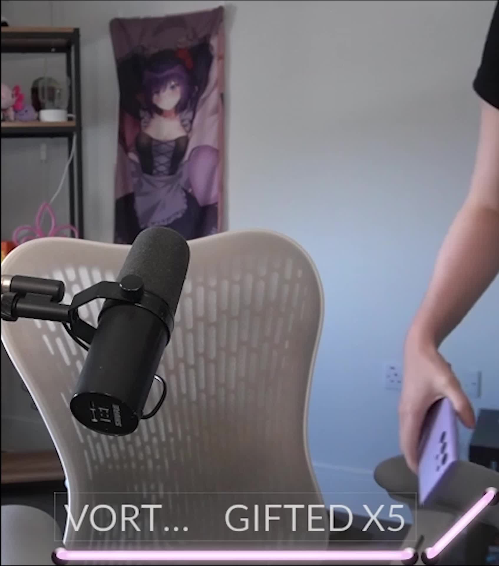 Video 844330 from Wolfabelle