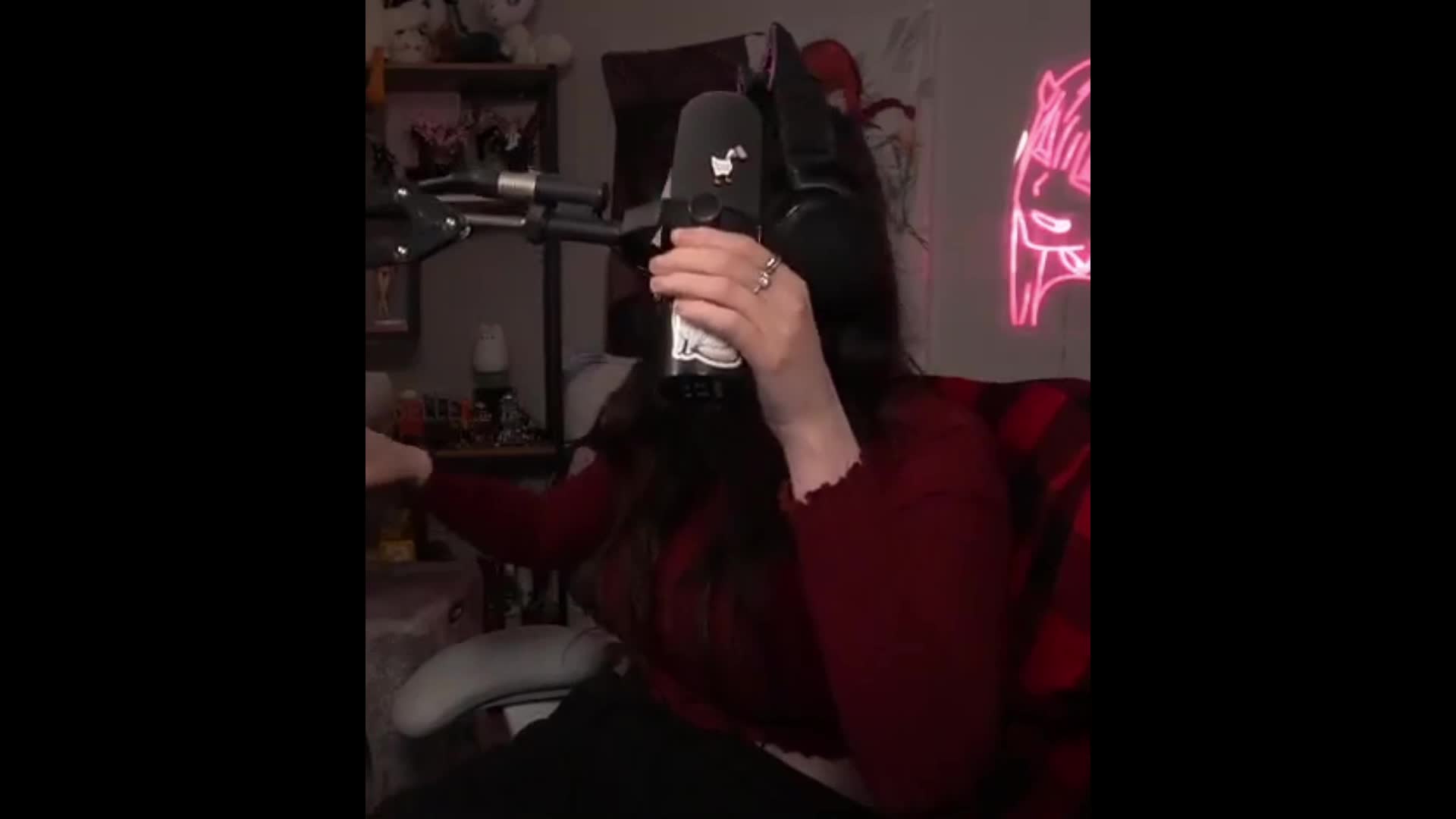 Video 844405 from Wolfabelle