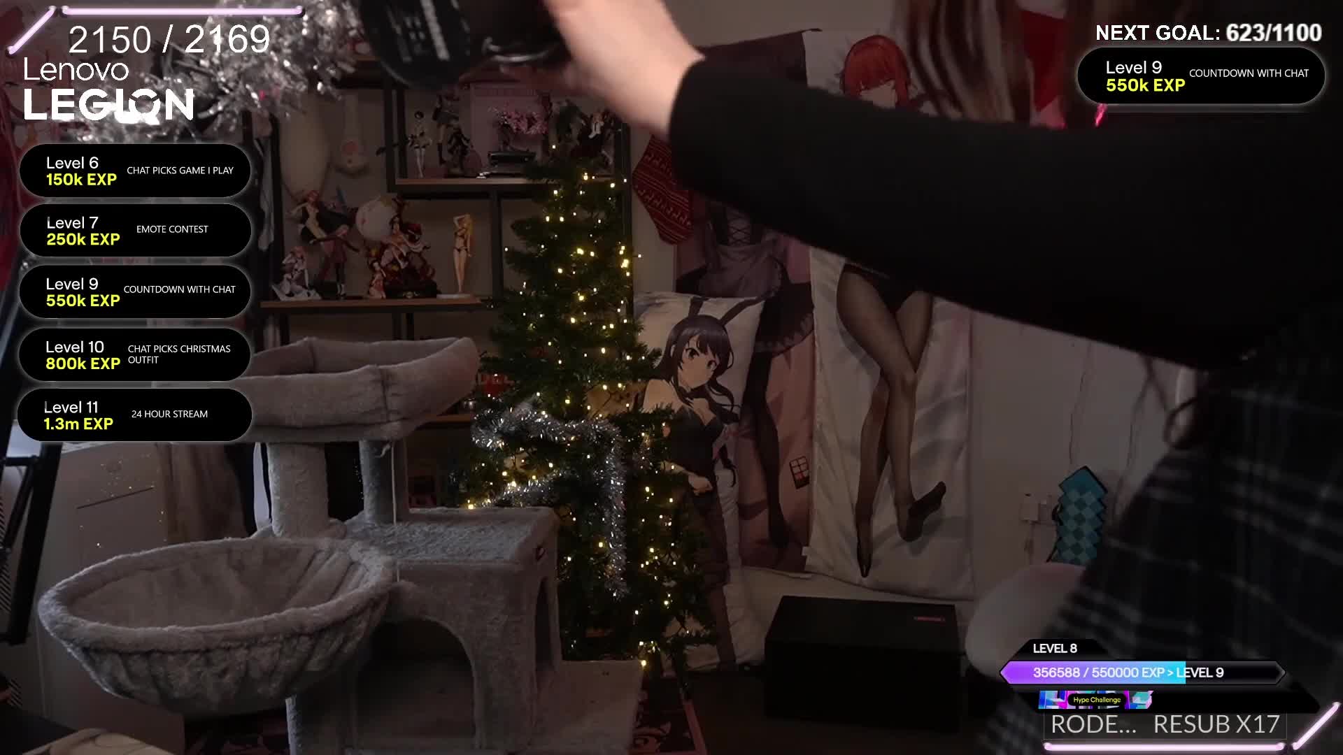 Video 844408 from Wolfabelle