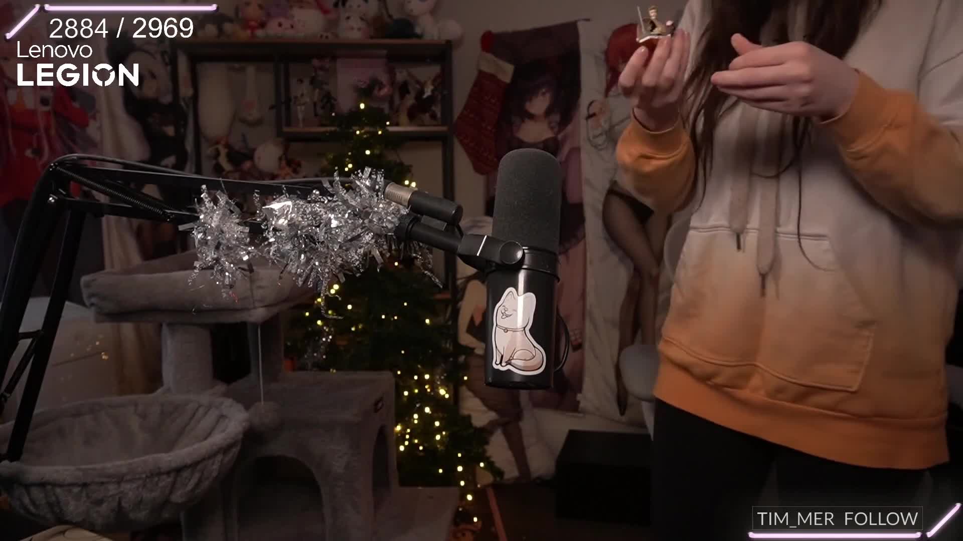 Video 844421 from Wolfabelle