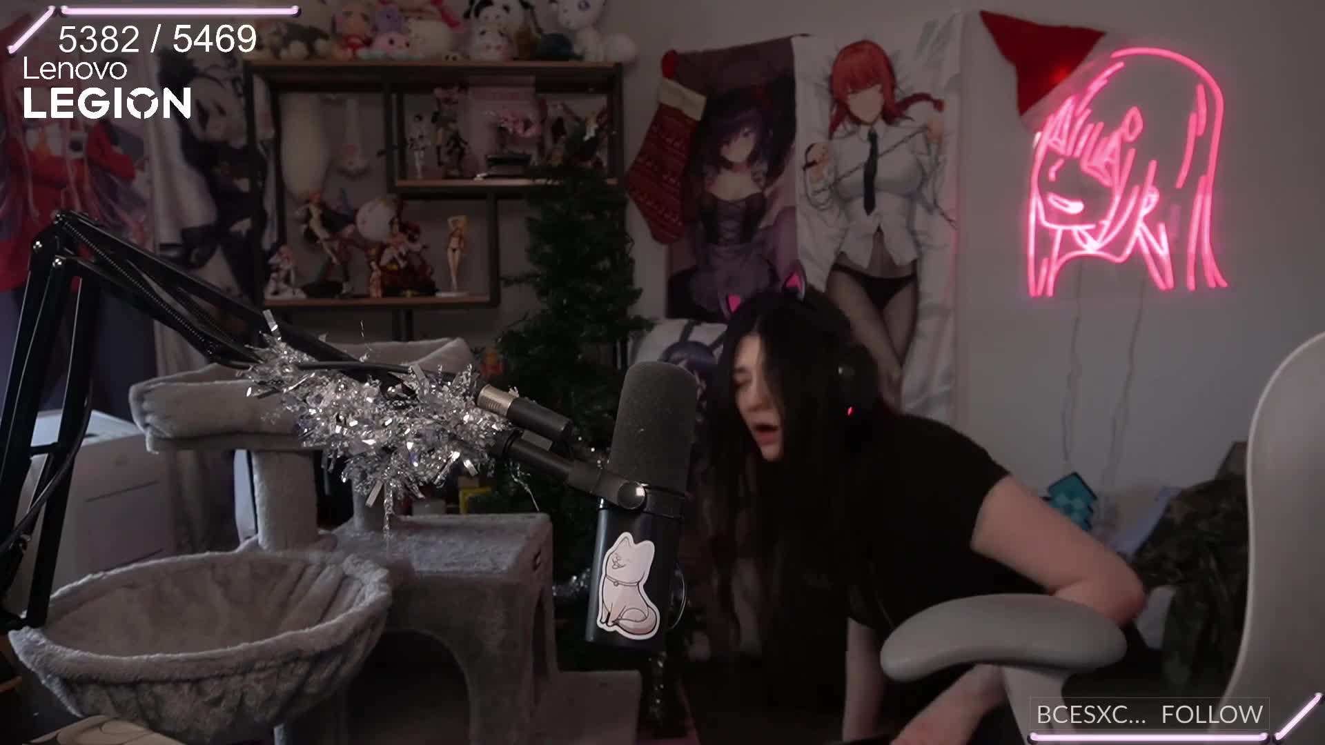 Video 844446 from Wolfabelle