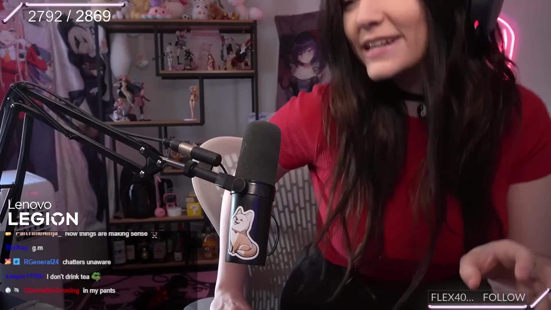 Video 844454 from Wolfabelle