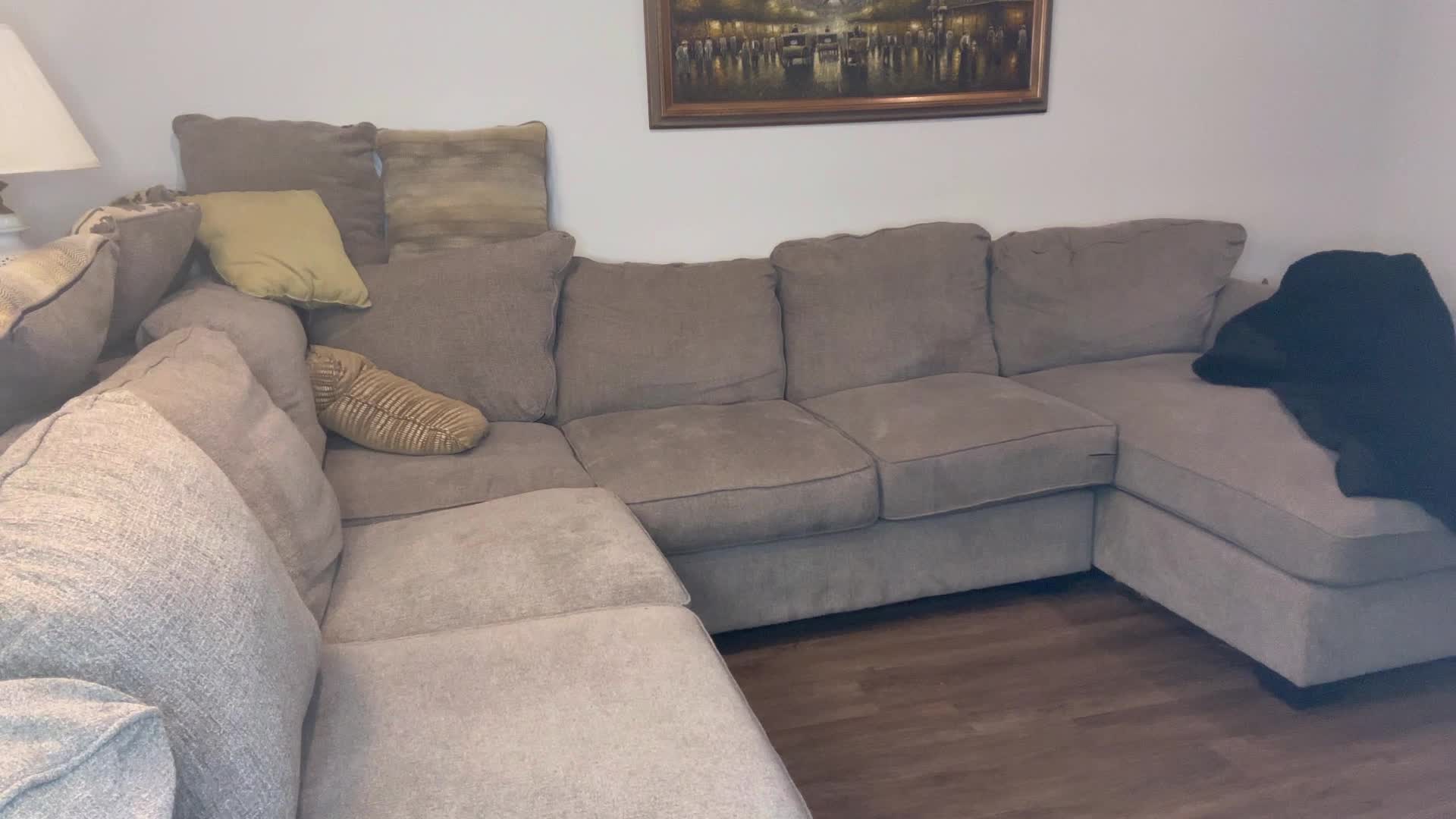 Video 845338 from TrophyWifeNat