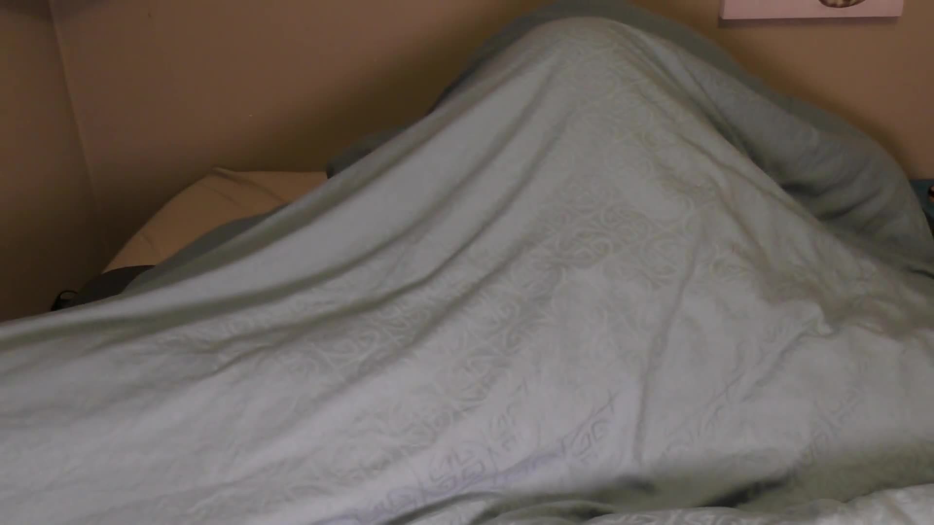 Video 845366 from Tigger Rosey