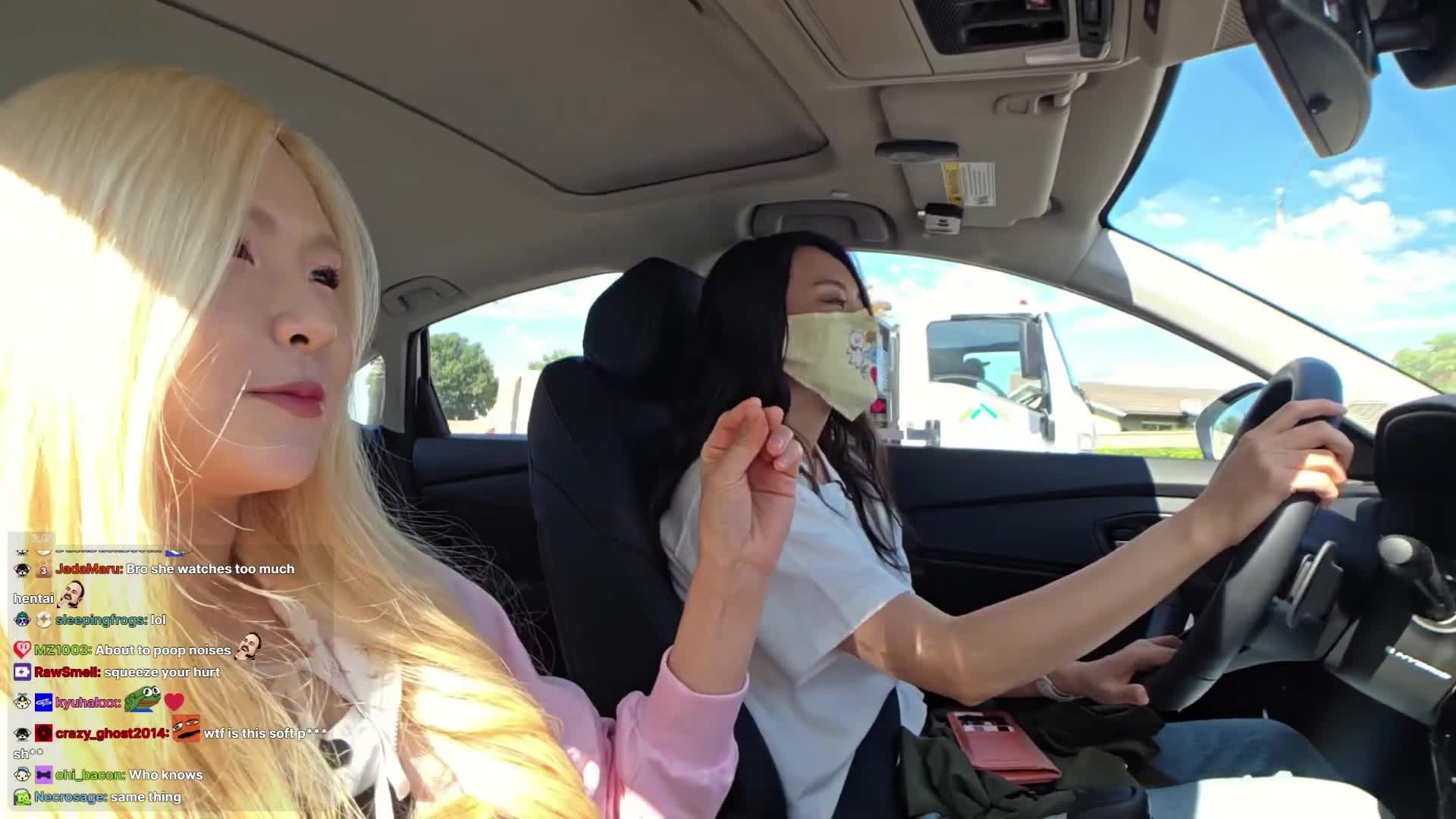 Video 847618 from HAchubby