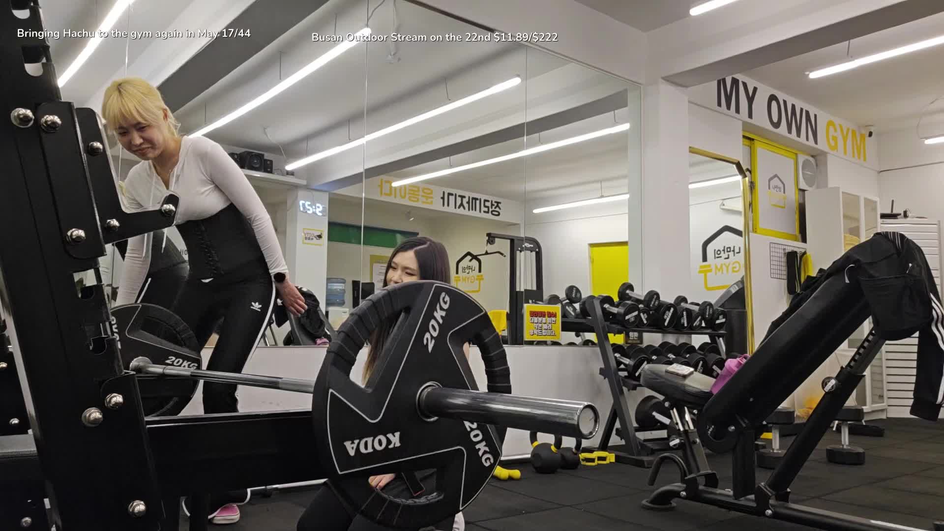 Video 847653 from HAchubby