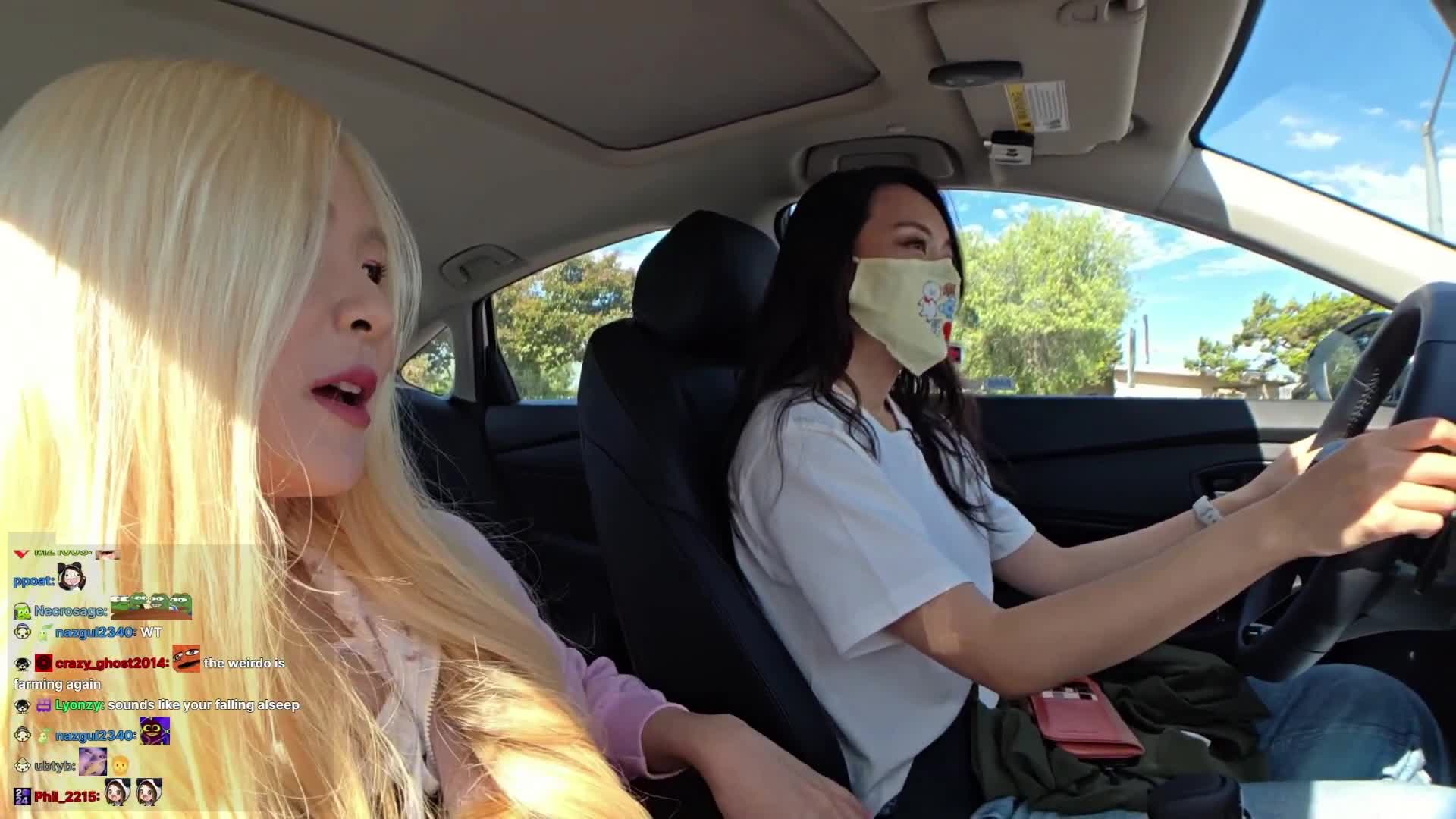 Video 847657 from HAchubby