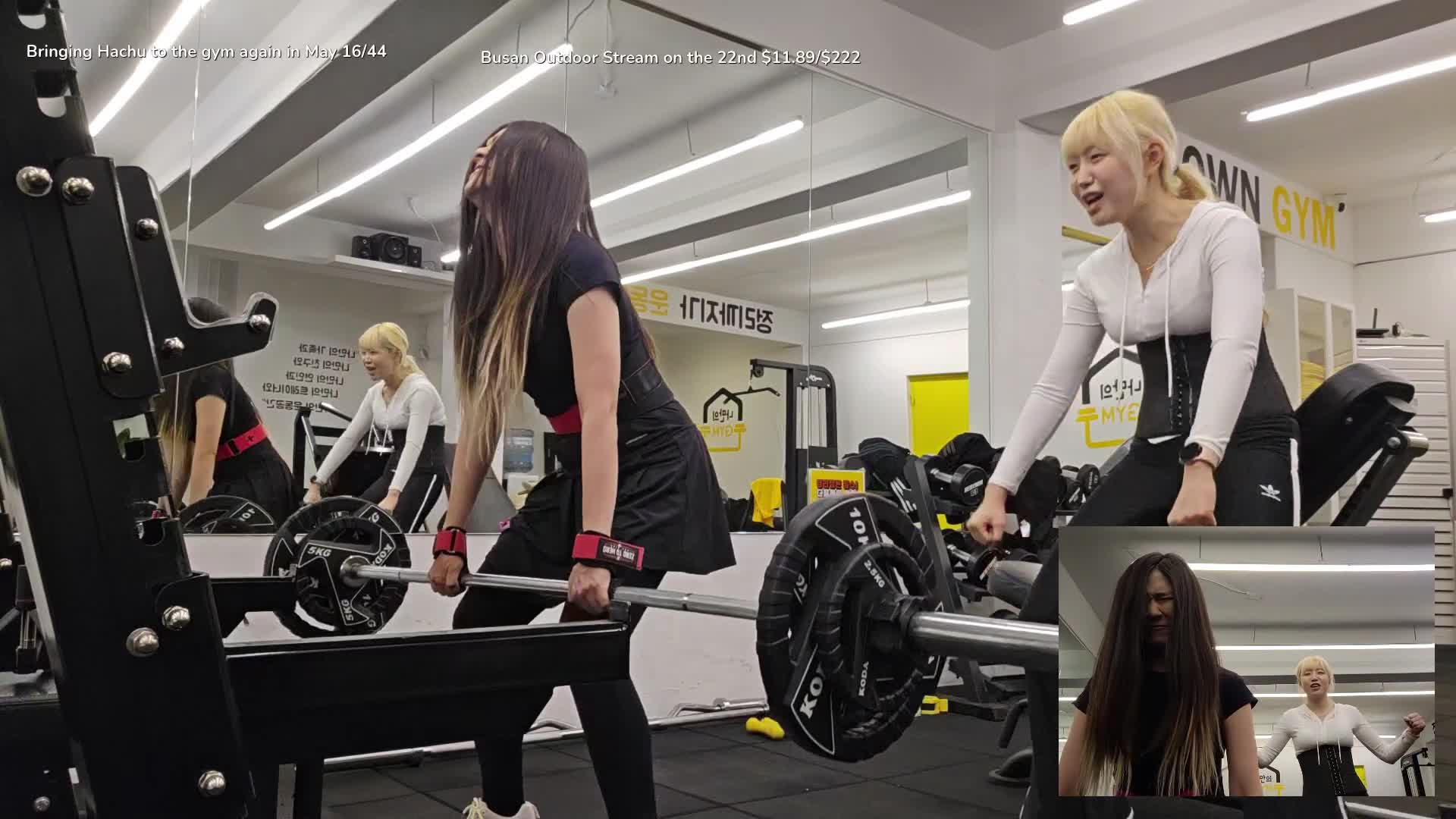 Video 847663 from HAchubby