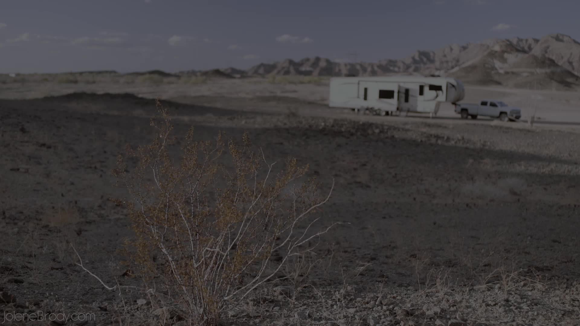 Video 848671 from Jolene Brody