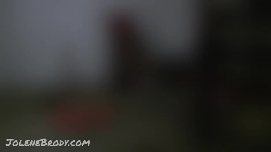 Video 849050 from Jolene Brody