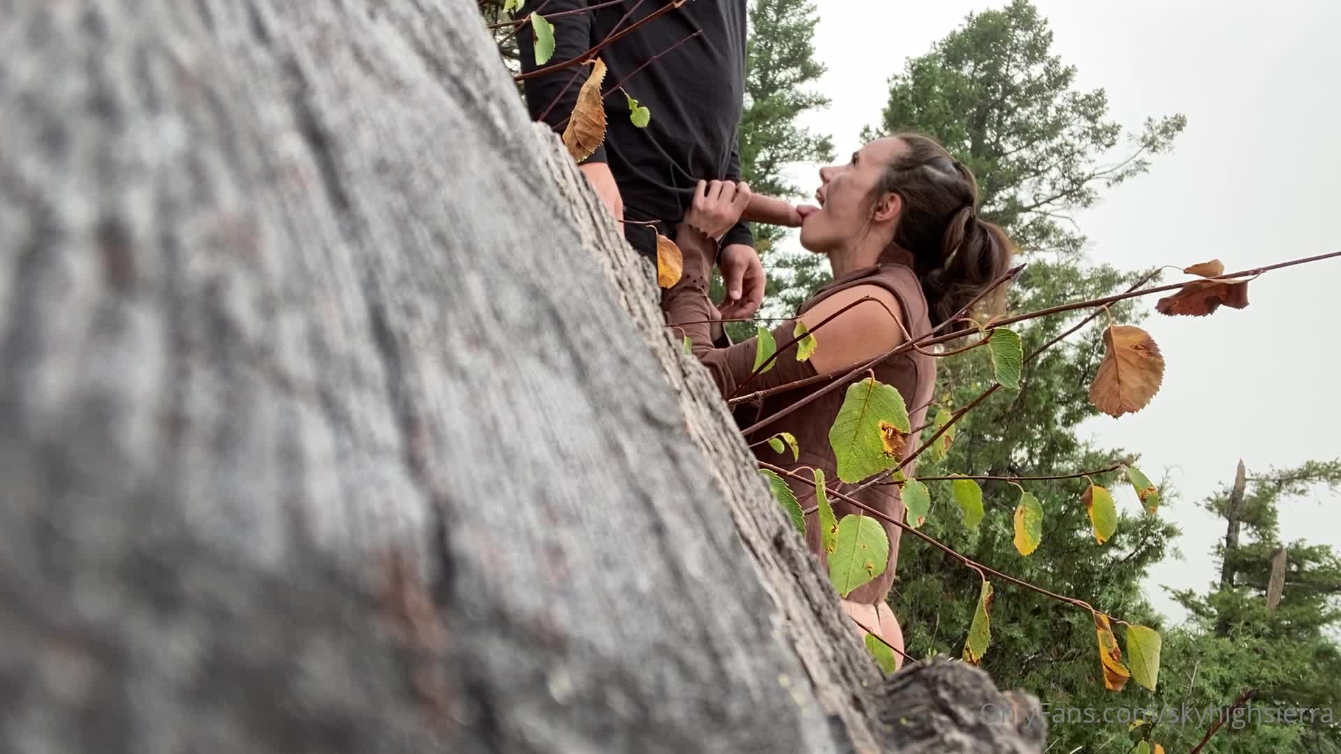 Video 849759 from skyhighsierra