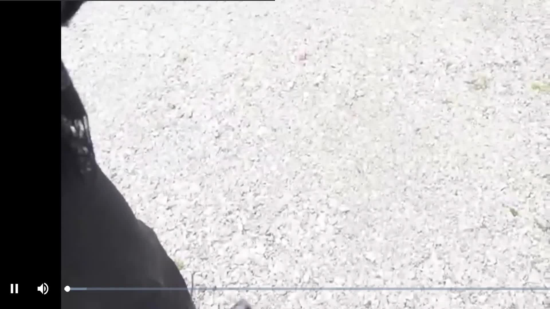 Video 850656 from FaustineB - Faustine Perdrix - mr_and_mrs_b