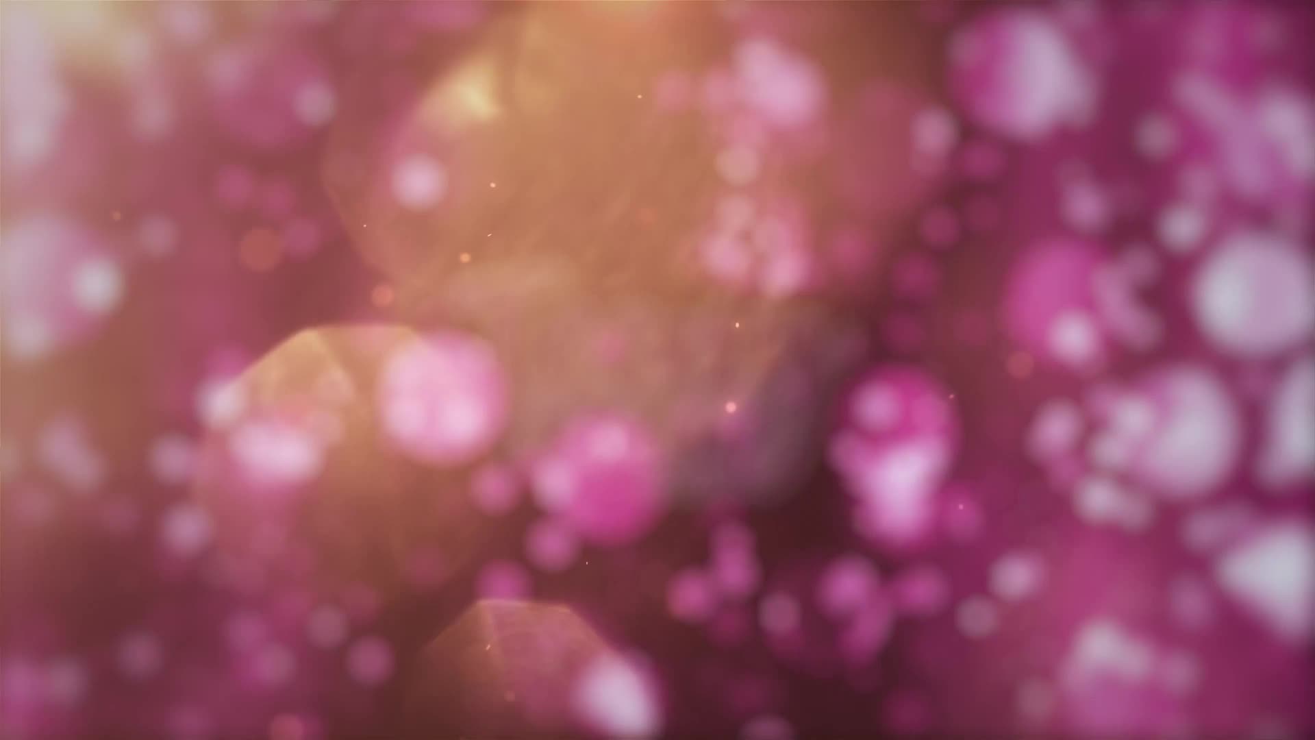 Video 850994 from xoegrim / daddyxoe / Xoe Grim