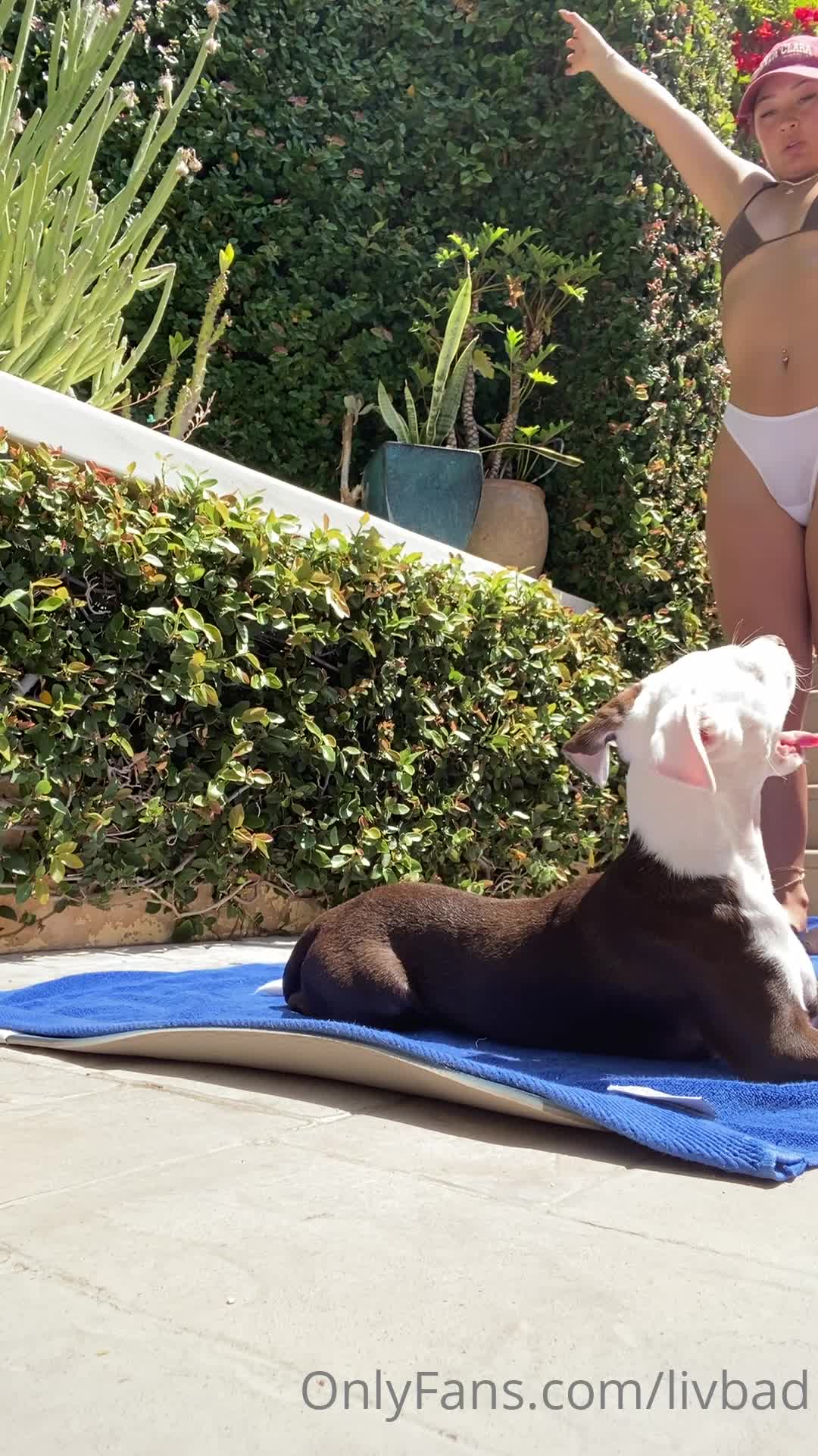 Video 851478 from Livbad