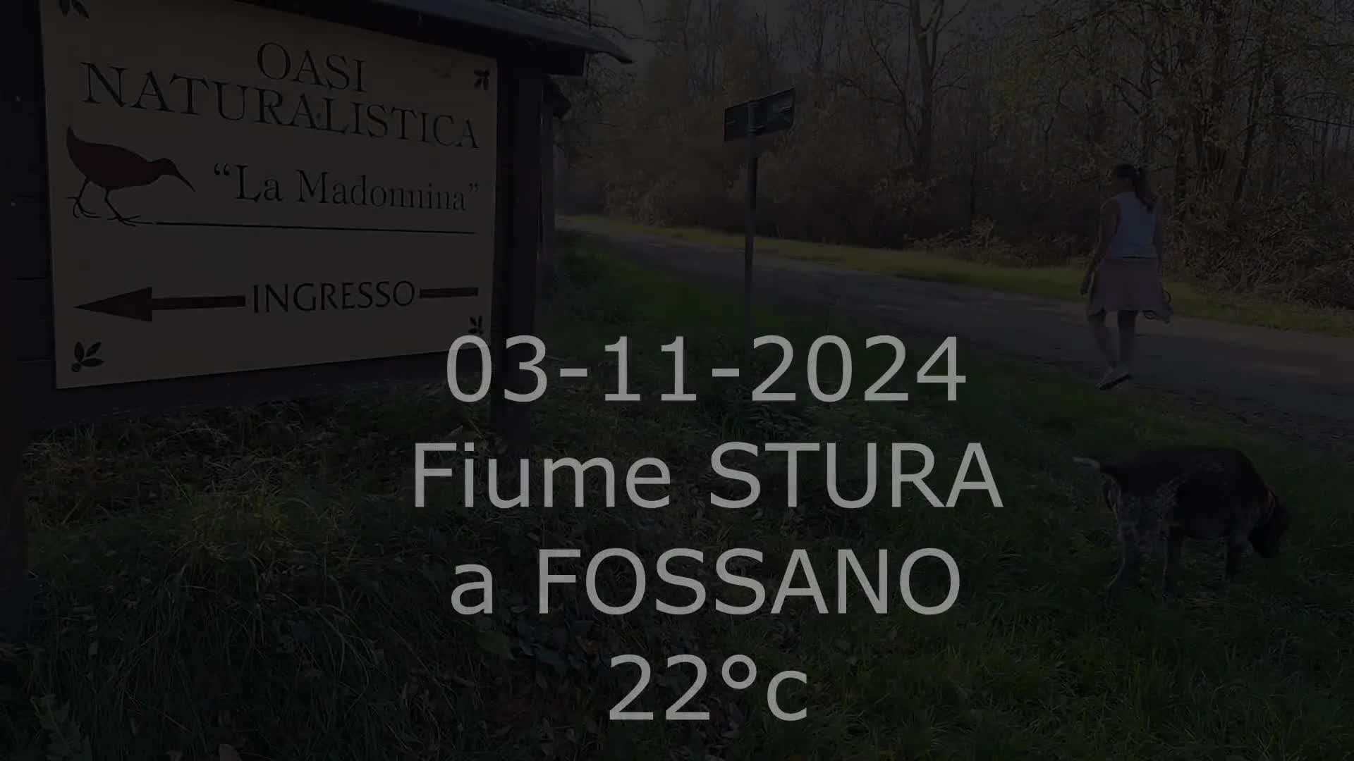 Video 851827 from simona nonsoloradio