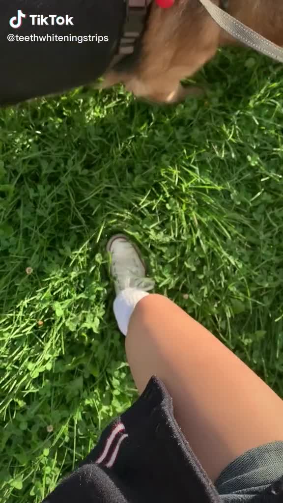 Video 854967 from xji3lan / ji3lan / jilan