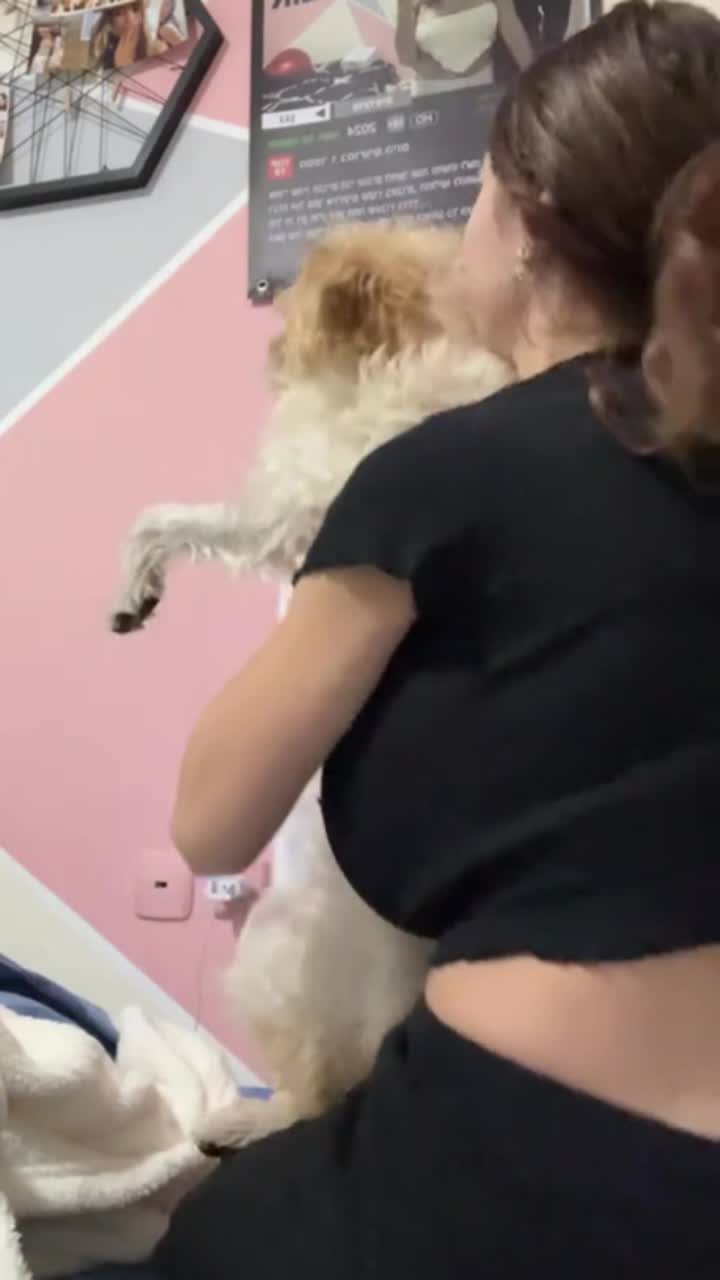 Video 855182 from Shir._.vaturi