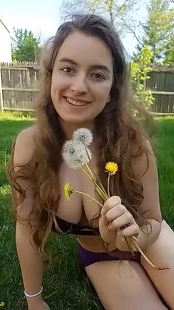 Video 856521 from Laila Wolf