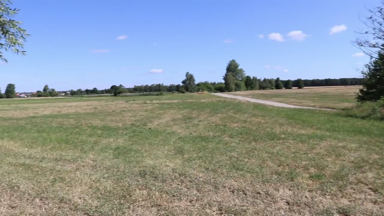 Video 1033 from Shaiden Rogue
