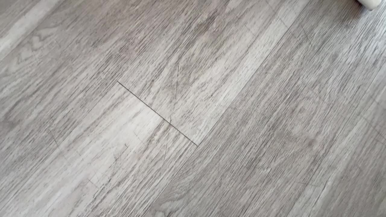 Video 861696 from Dredd