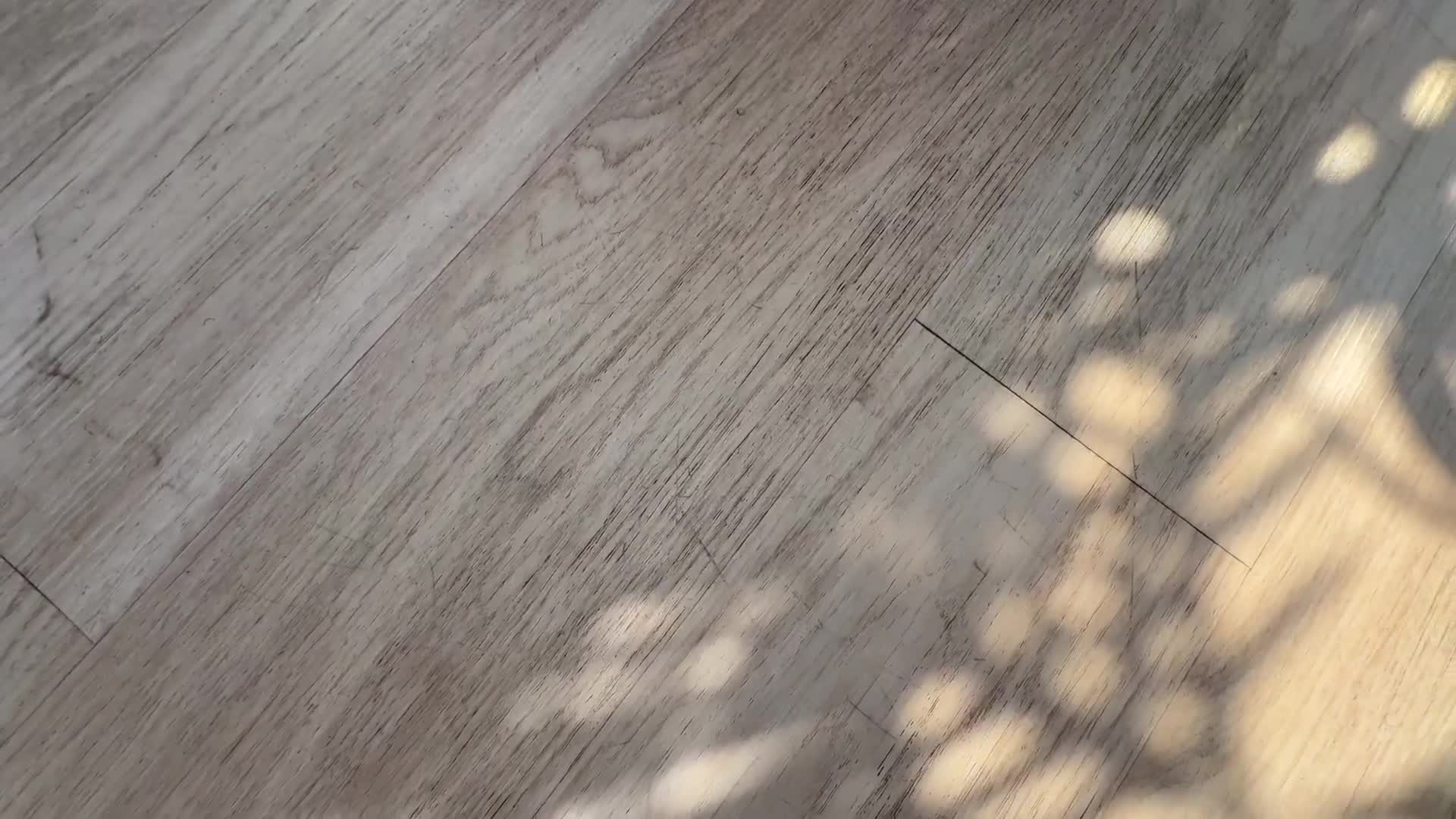 Video 861698 from Dredd