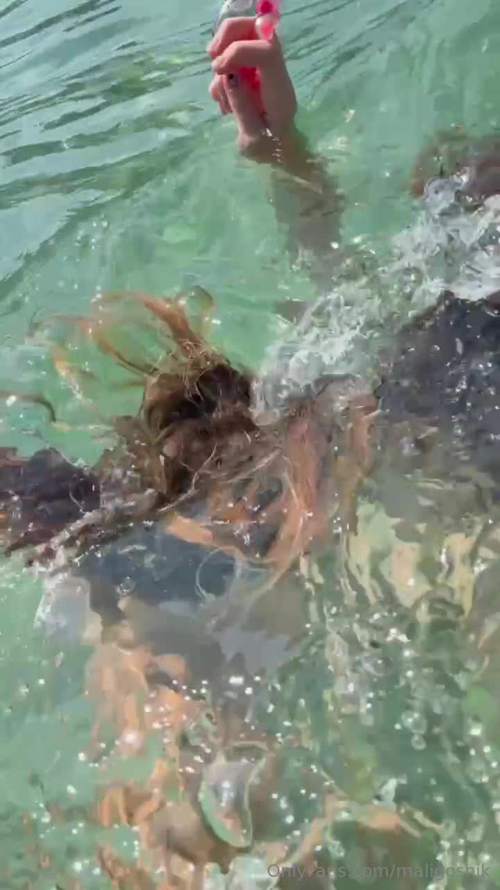 Video 863450 from Anna Malygon | maligoshik | maligoshik.a