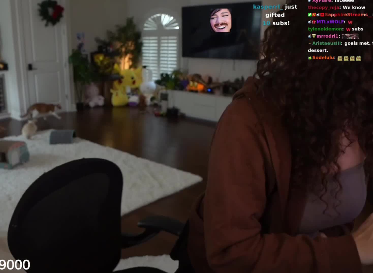 Video 865829 from Cinnabrit