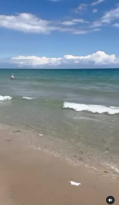 Video 866228 from Strawberrytabby | Tabithalookofsky