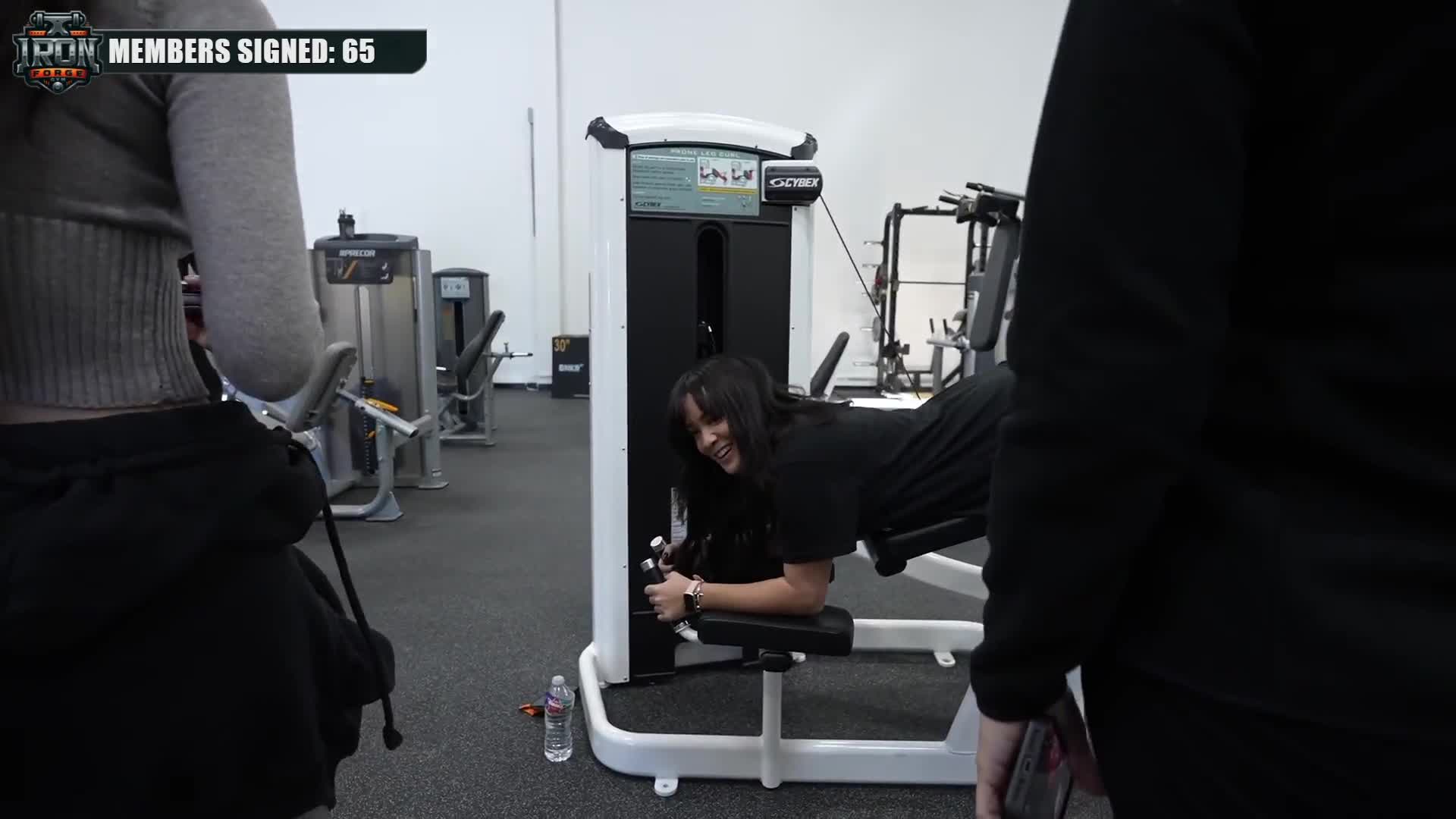 Video 866282 from Cinnabrit