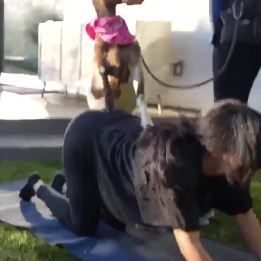 Video 866455 from Cinnabrit