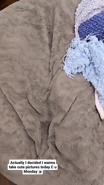 Video 869513 from Neekolul | neeko