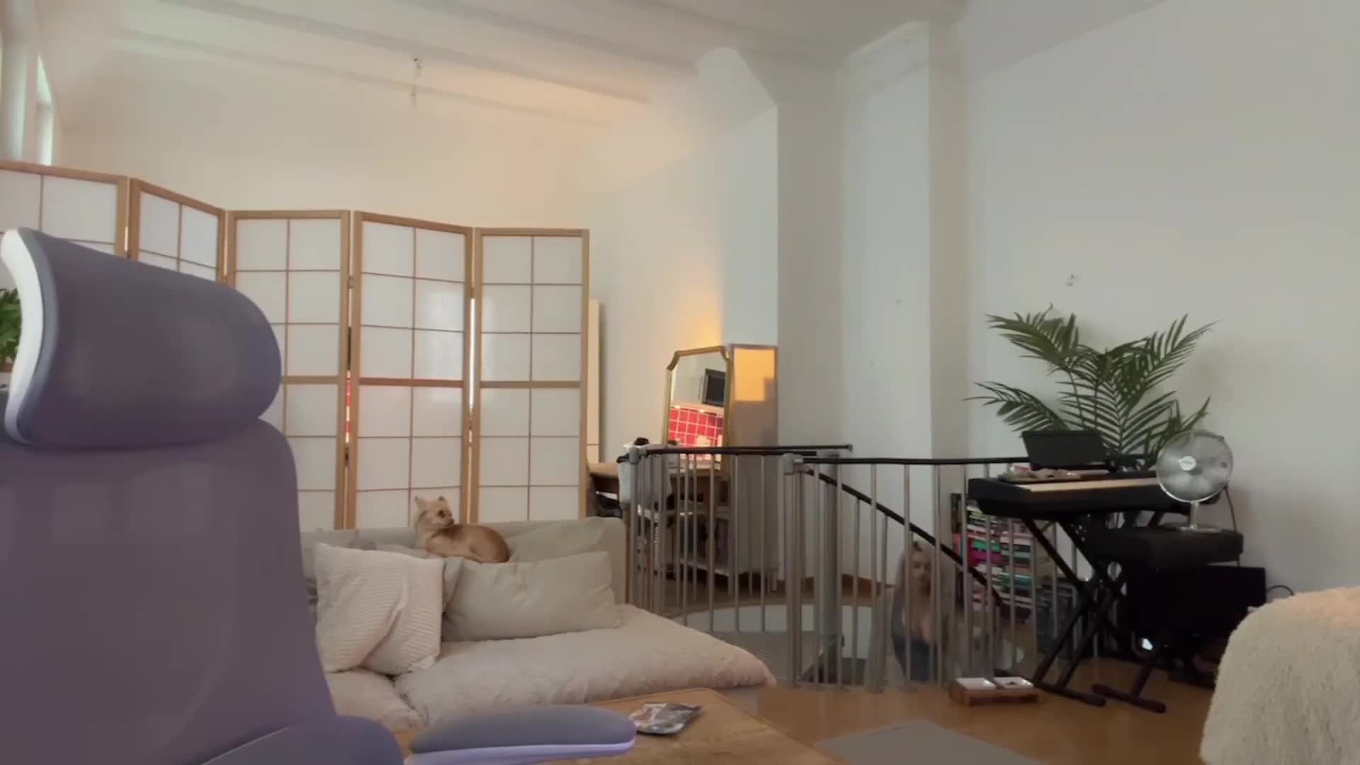 Video 869578 from JadeyAnh | vylerria