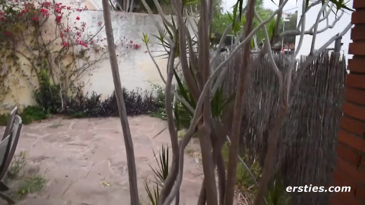 Video 870479 from Ersties