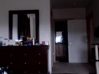 Video 871046 from Delightfulhug