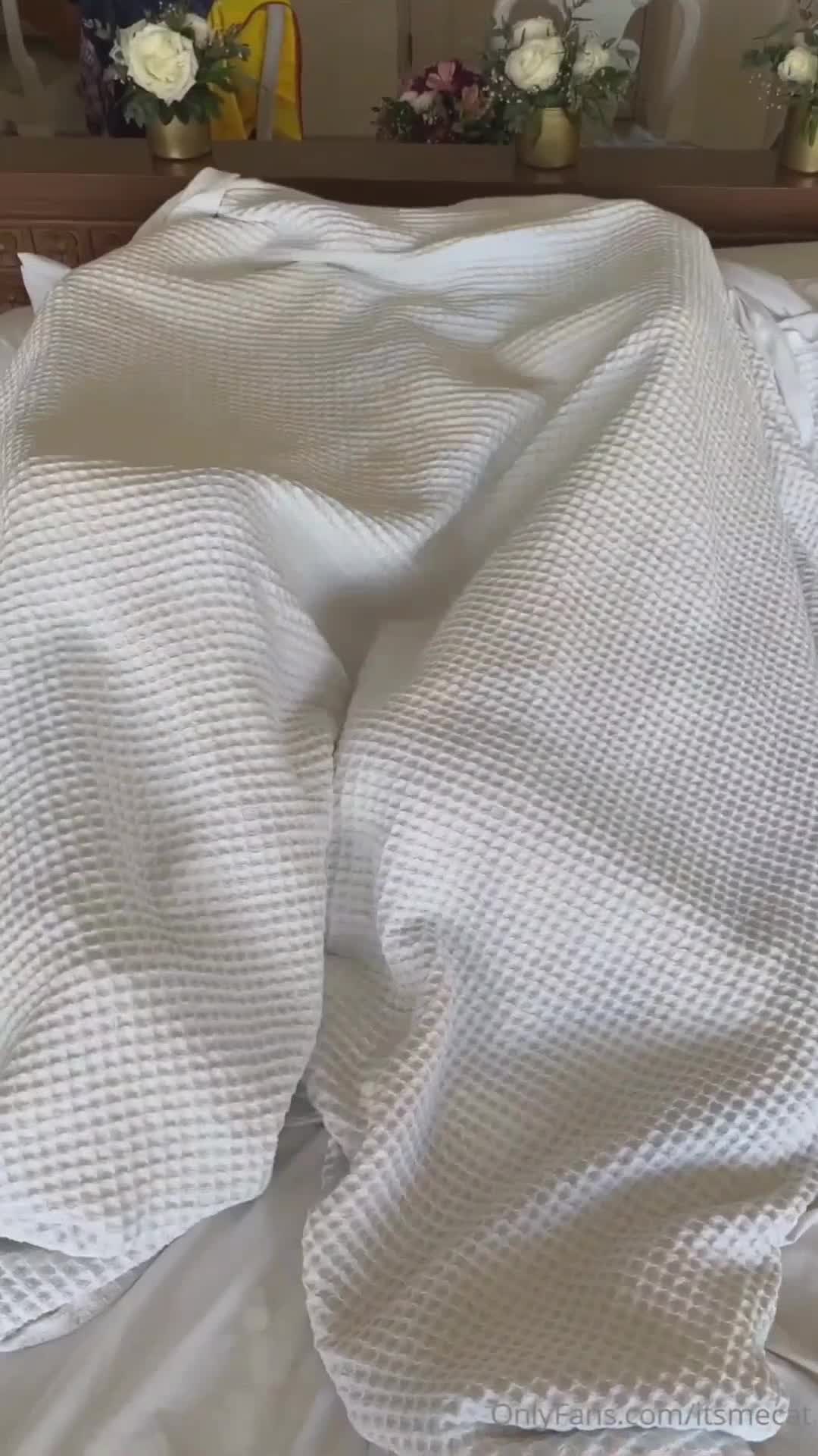 Video 871323 from Quinn Finite / Charlee