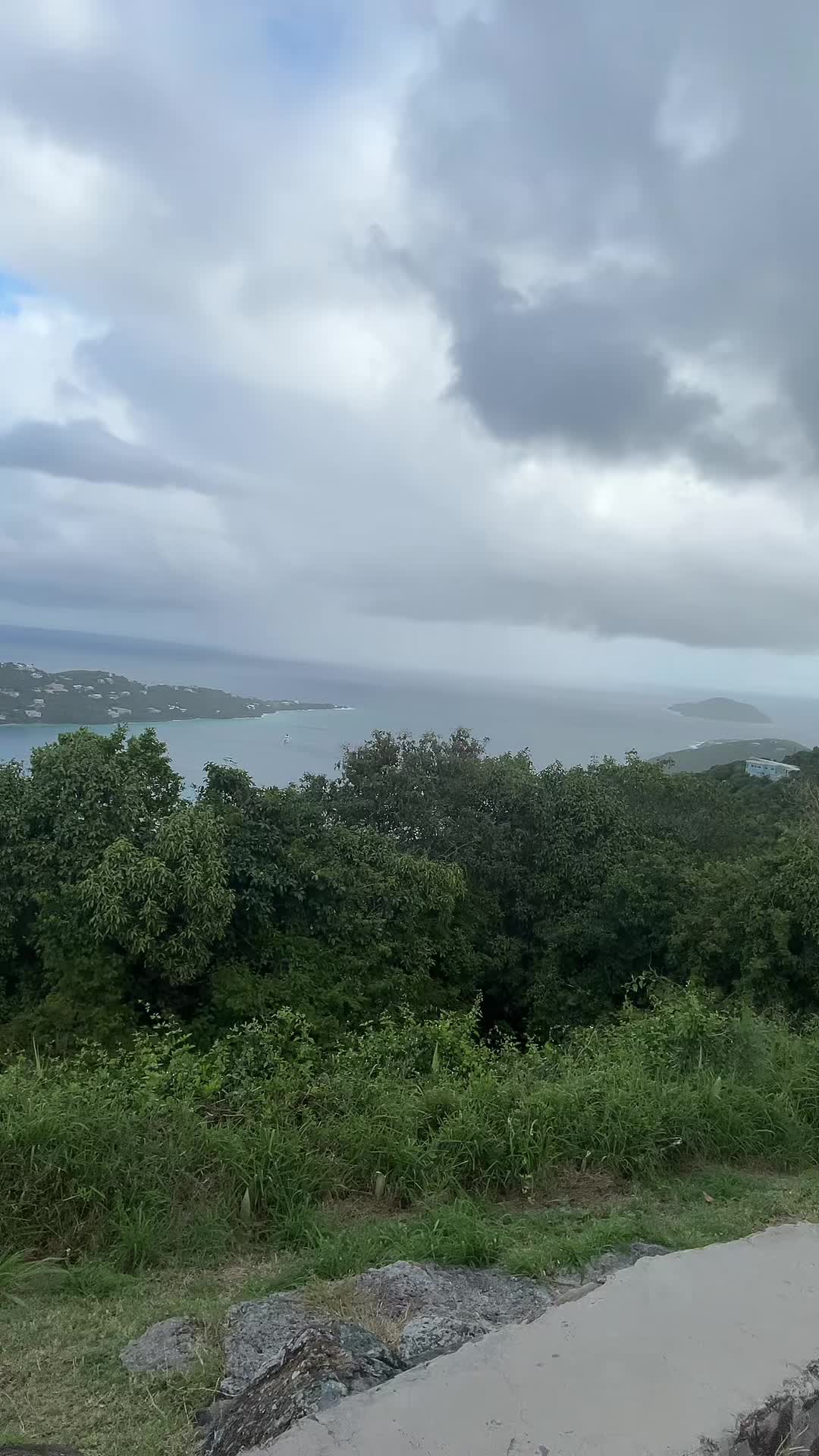 Video 873609 from Colleen Sheehan