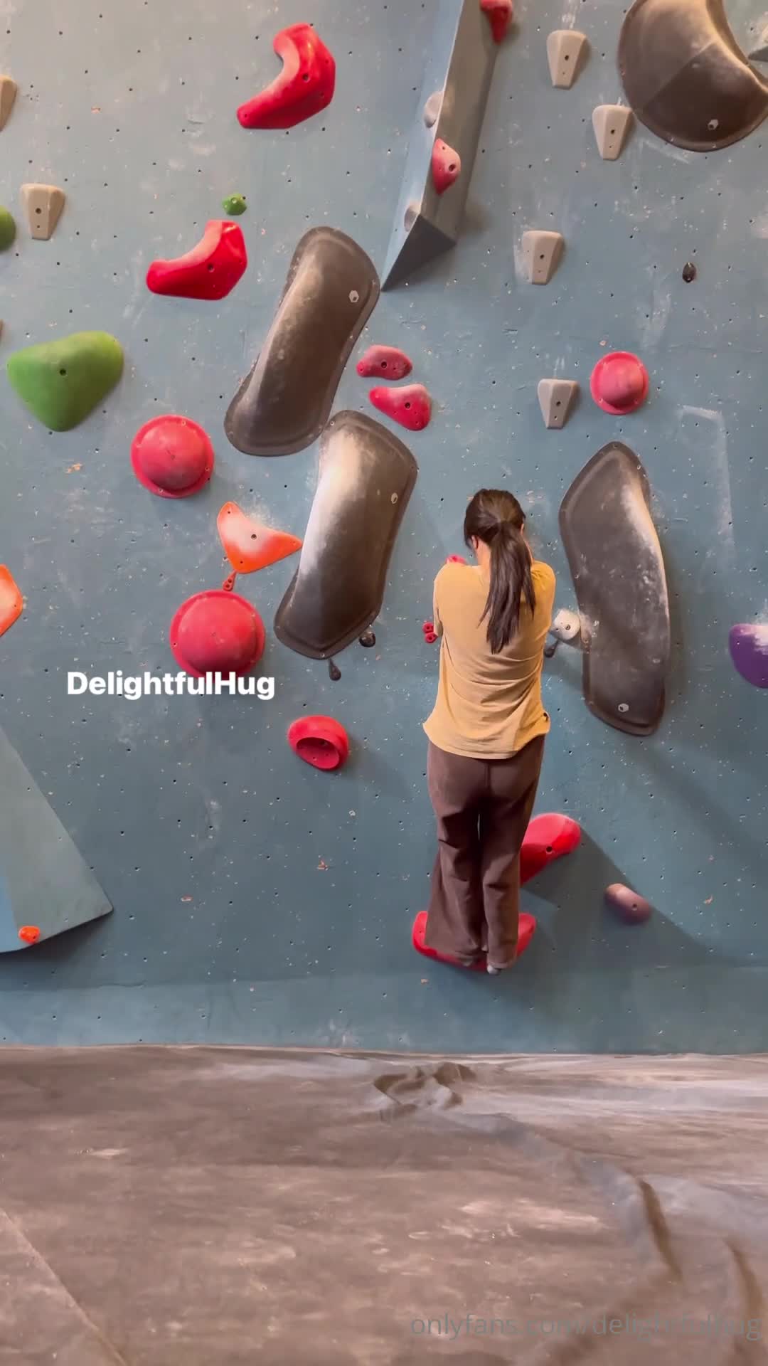 Video 874099 from Delightfulhug