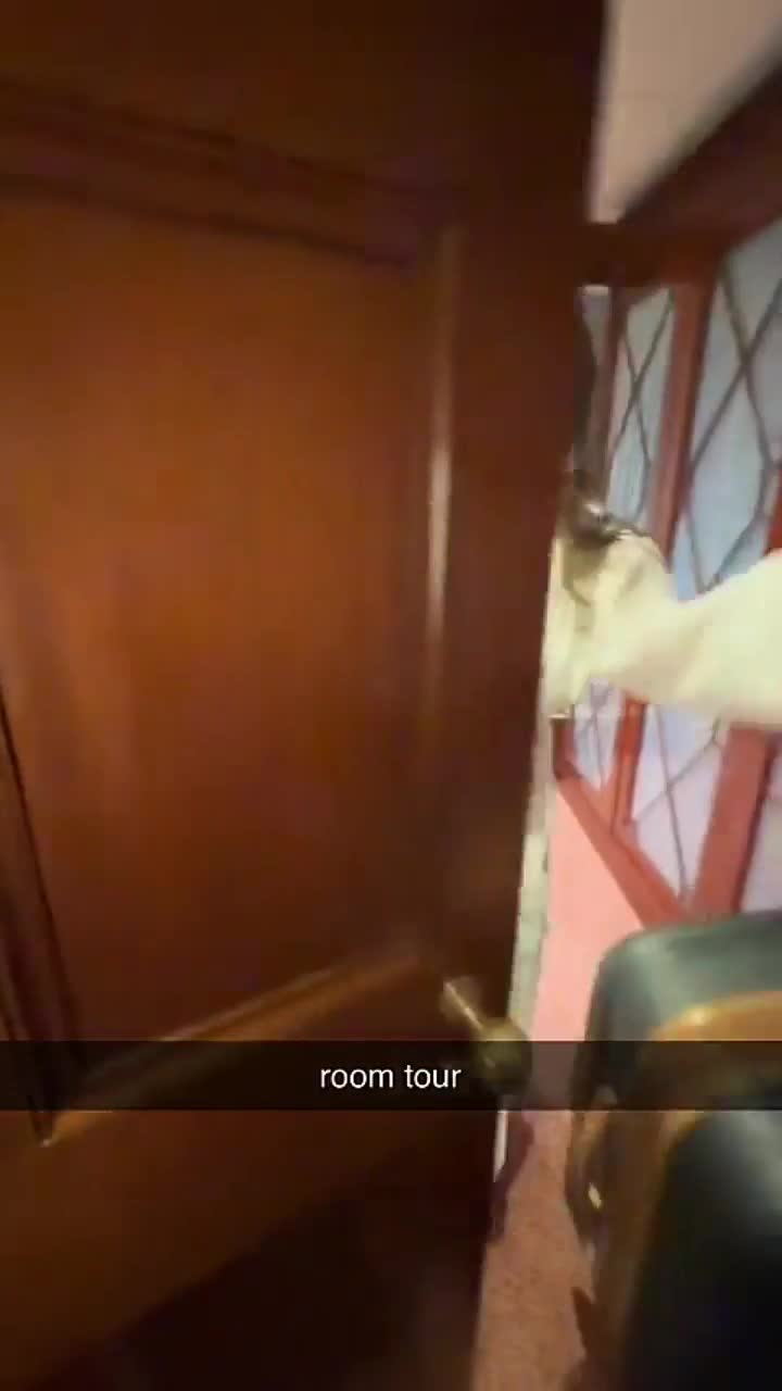 Video 874483 from Colleen Sheehan