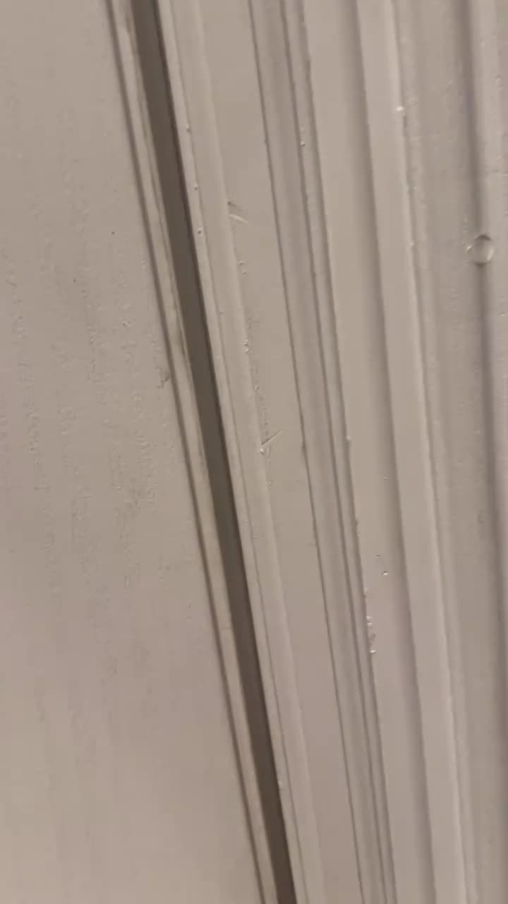 Video 875667 from Strawberrytabby | Tabithalookofsky
