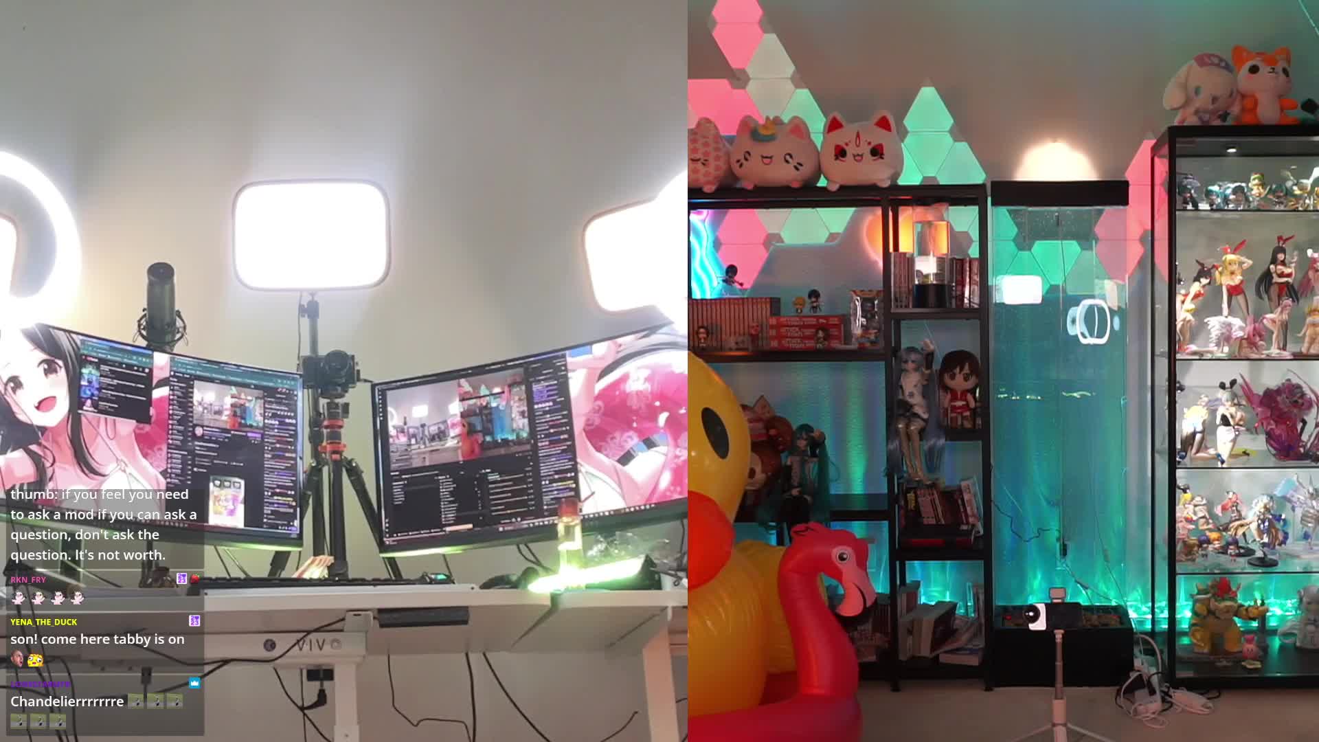 Video 875690 from Strawberrytabby | Tabithalookofsky
