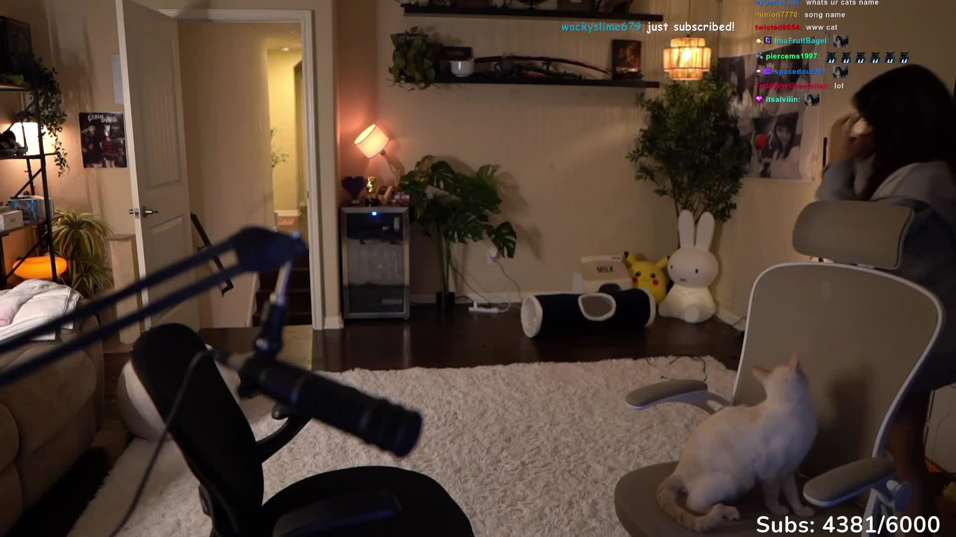 Video 875942 from Cinnabrit
