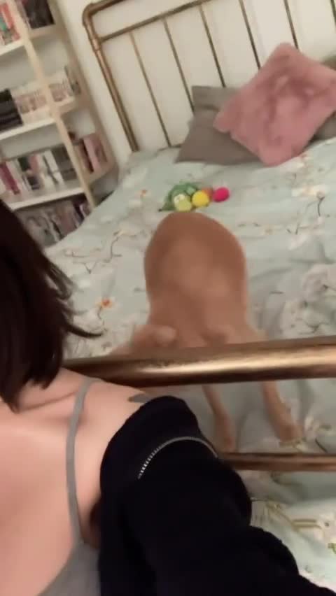 Video 877075 from JadeyAnh | vylerria